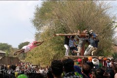 Fete  tribale de village