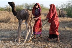 Petites filles nomades Jat Fakirani sur leur campemen