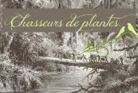 Expo – « L’aventure des Chasseurs de plantes »