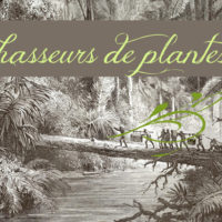 Expo – “L’aventure des Chasseurs de plantes”