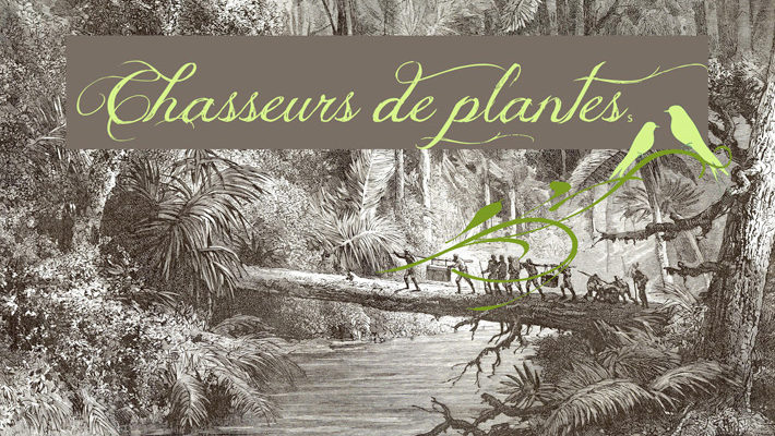 Expo – « L’aventure des Chasseurs de plantes »