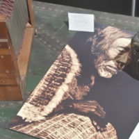 Ateliers – Amérique du nord