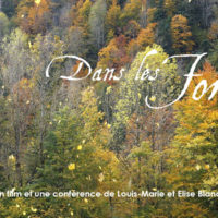 Film – « Dans les forêts »