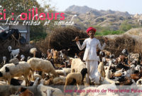 Expo photos – « Ici : ailleurs – L’Inde nomade et tribale »